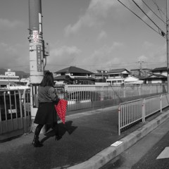 かさ