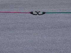 絆
