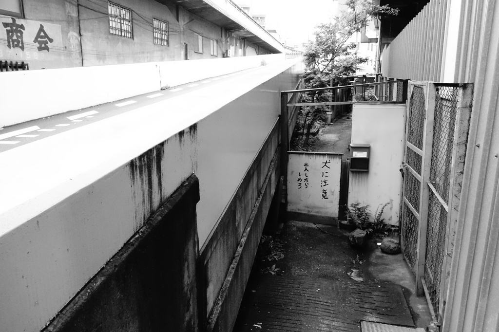 2015/5  ひとりあるく・・・