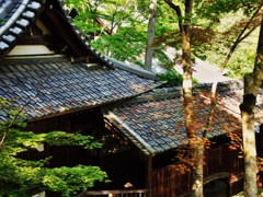 神峯山寺