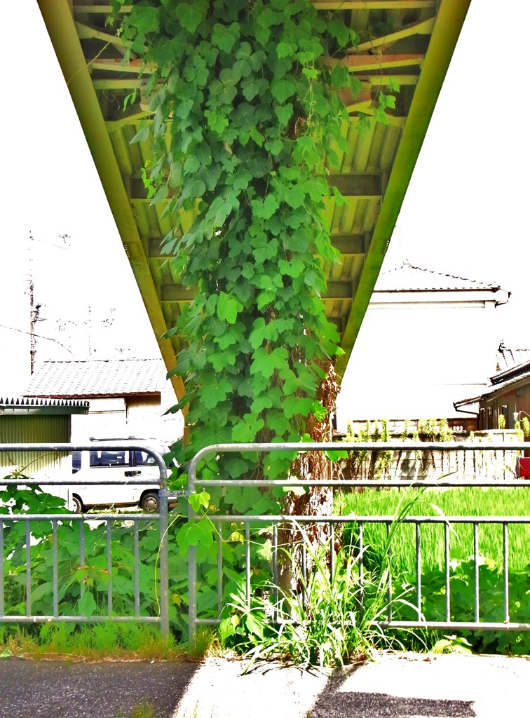 草柱