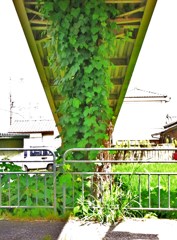 草柱