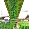 草柱