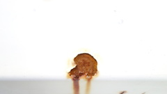 rust