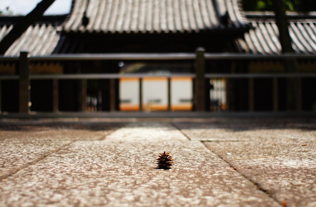 一人で立ち向かう