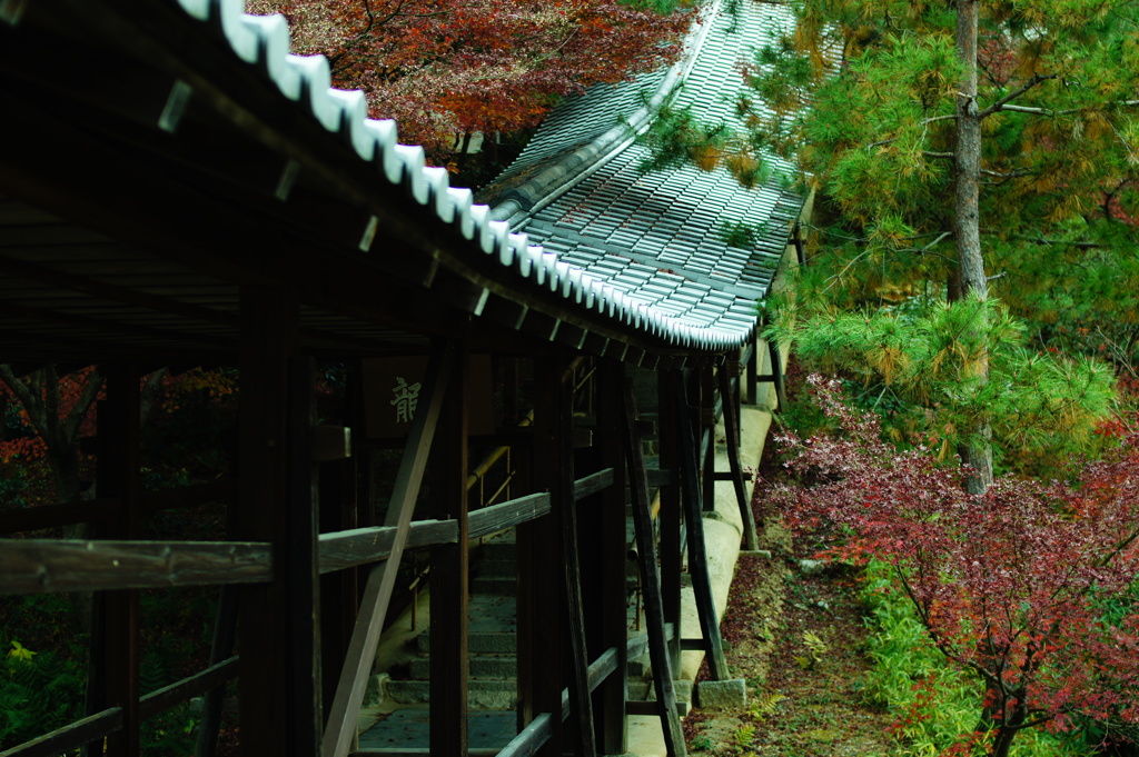 2013 秋　京都