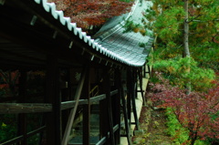 2013 秋　京都