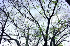 DSC00799
