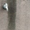 一雫　　　も無い。