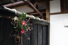 日本の美学