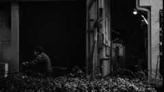 2013 秋　OSAKA