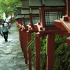 参拝