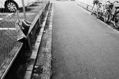 かさ