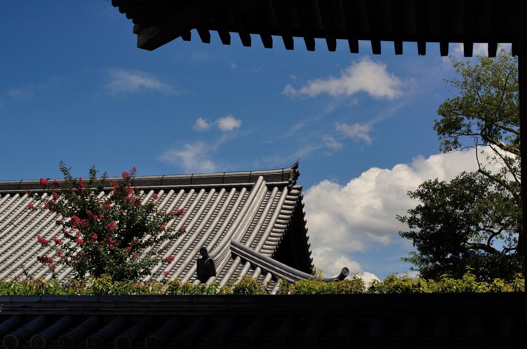 晴天
