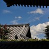 晴天