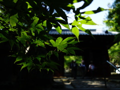 神峯山寺