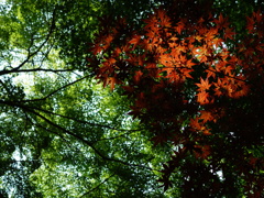 神峯山寺