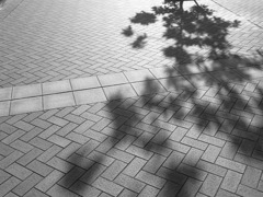 開放
