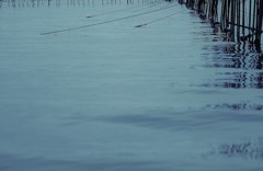 nontitle