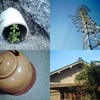 collage1