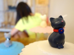ドリンクの猫の毛防止フタ