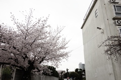 時期はずれシリーズ　Ⅰ