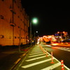 zebra zone
