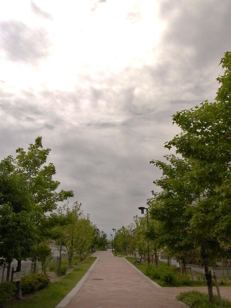 雲隠れ