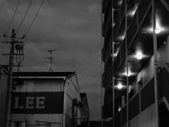 nontitle