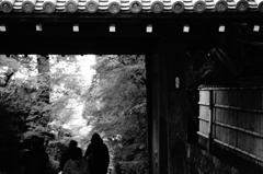 2013 秋　京都