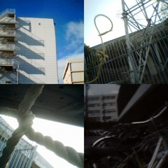 collage3