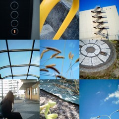 collage2