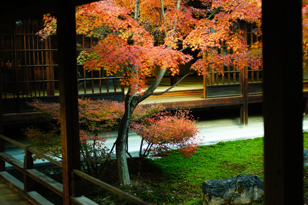 2013 秋　京都