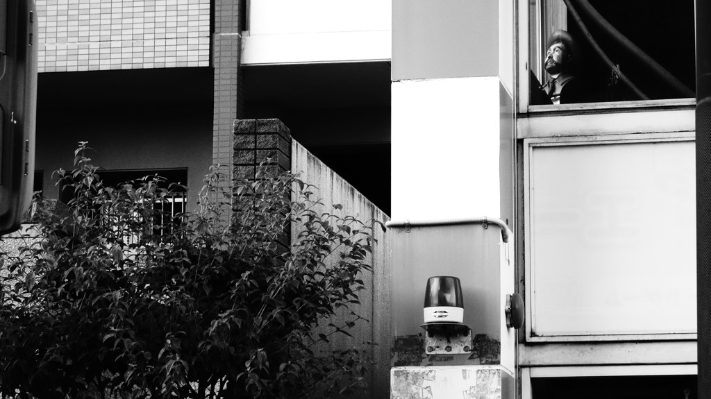 遠い故郷を想う・・・・・