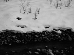 木、雪、川