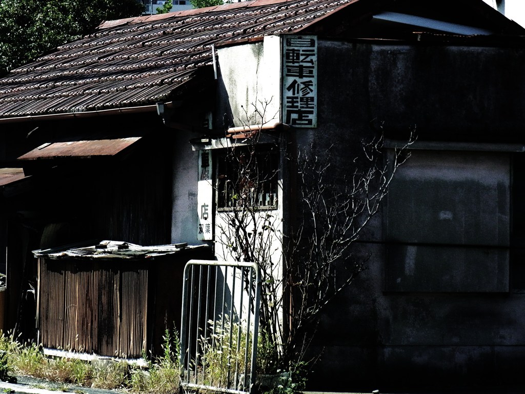 もう、随分と前から・・・・・