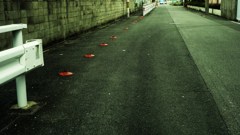 一本もない。