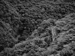 道