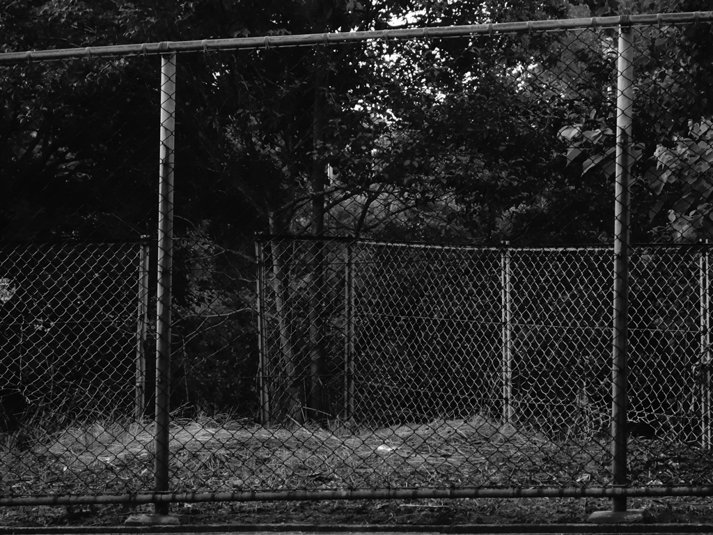 fence on fence