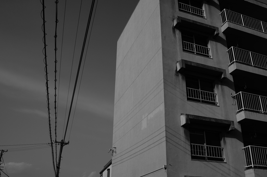 ここに人はいない・・・