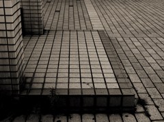 tile
