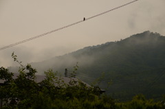 Go to home? or into the Mountain?