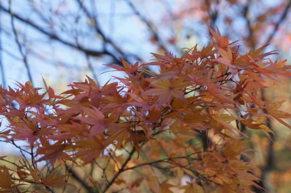 総持寺
