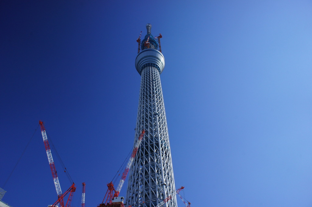 定番なんですが・・・