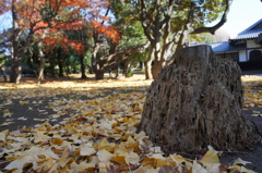 総持寺