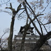 ようやく春