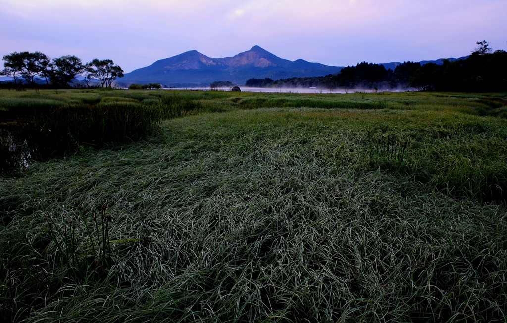 朝露