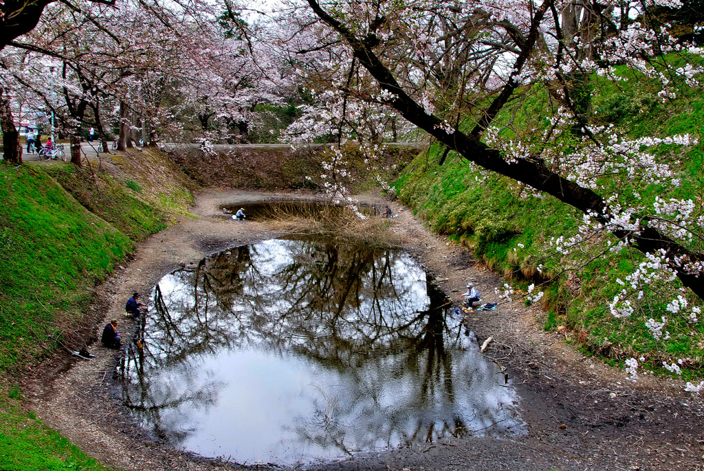 贅沢な釣り