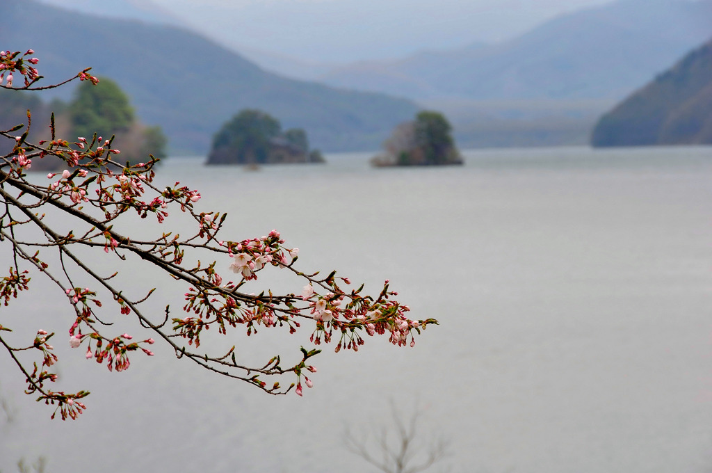 桜島