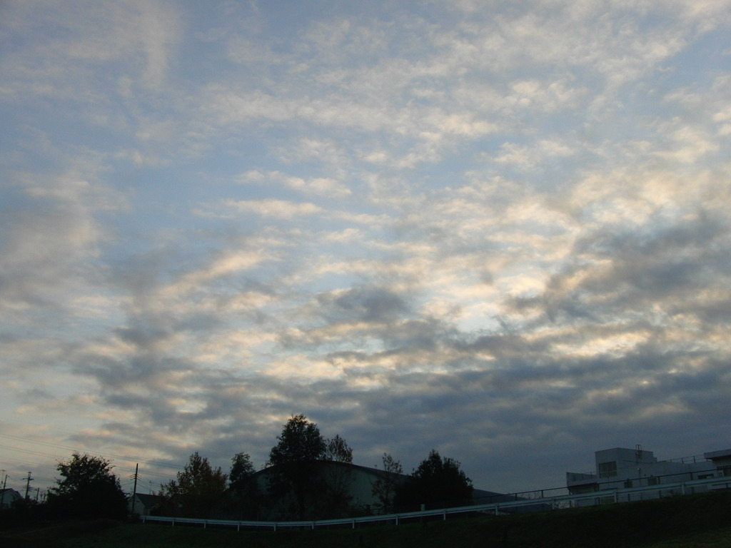 1125-まだらの空